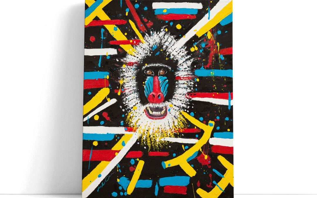 Baboon